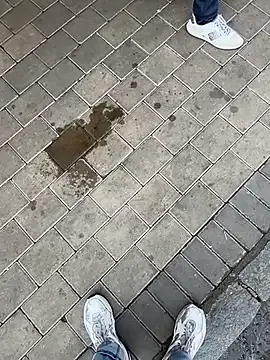 AdaaStone – webcam model profile photo Image 19