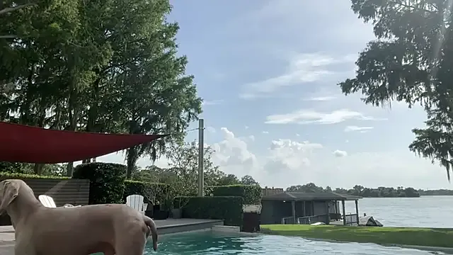 Robine868 – webcam model profile photo Image 4