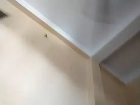 SallyLynn18 – webcam model profile photo Image 2