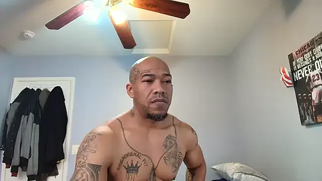athephenomenal1 Image 4