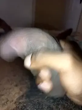 BigDix0's Thumb Image