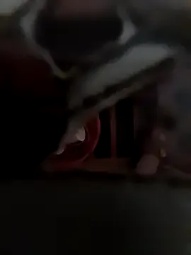 Boyshow88 – webcam model profile photo