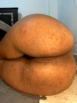 Alexiaa_roseexo – webcam model profile photo Image 12