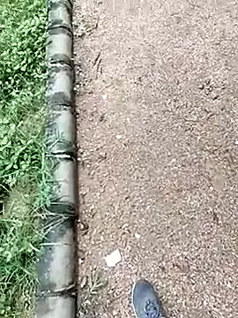 AdaaStone – webcam model profile photo Image 12