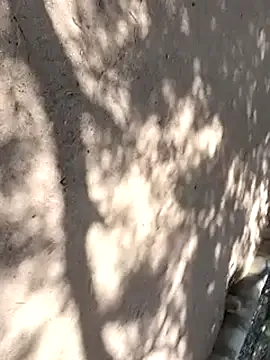 AdaaStone – webcam model profile photo Image 18