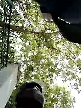 AdaaStone – webcam model profile photo Image 4