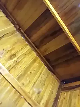 HeidyWillms – webcam model profile photo Image 8