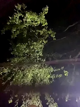 Iron_tous – webcam model profile photo Image 16