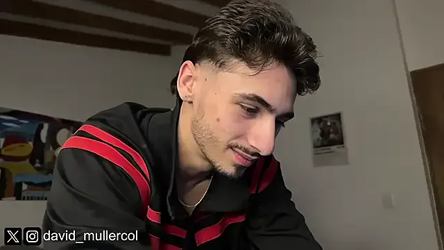 LT-333 – webcam model profile photo Image 8