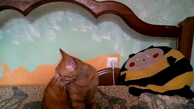 HENTAI_Bear – webcam model profile photo Image 10