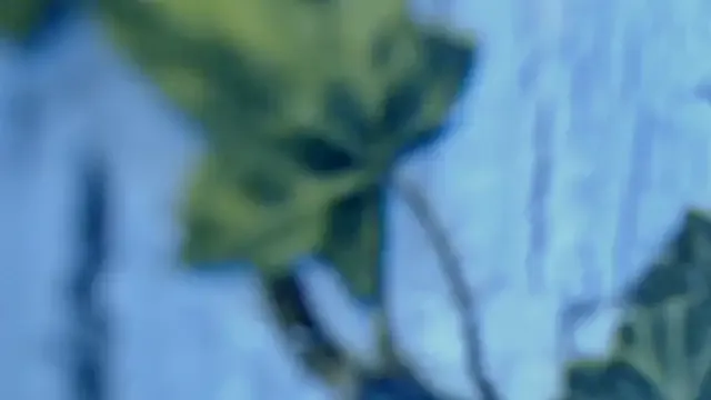 kanelandersonn – webcam model profile photo Image 12