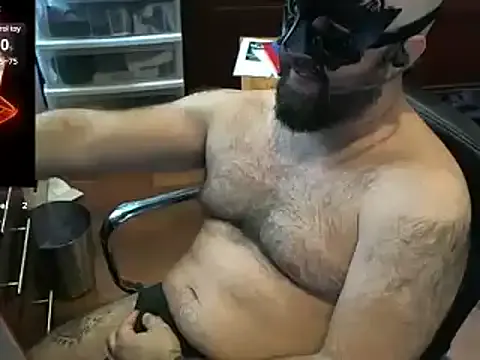 brendaliive – webcam model profile photo Image 9