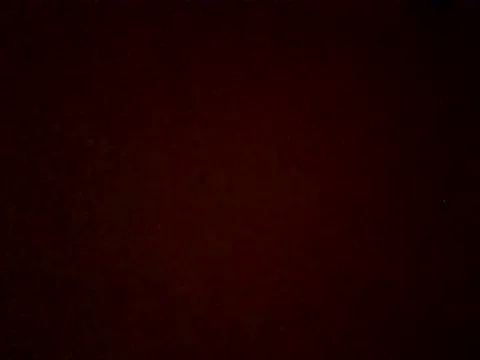 Selvaggia_official83 – webcam model profile photo Image 16