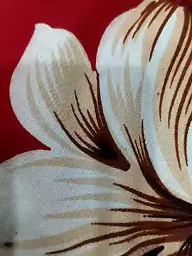 hot_plak – webcam model profile photo