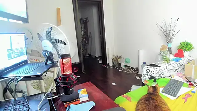 ReginaVelvet – webcam model profile photo Image 18