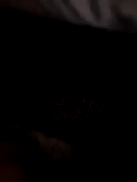 Clark_kentt – webcam model profile photo Image 12