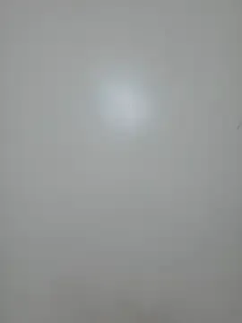 stargroup – webcam model profile photo Image 13