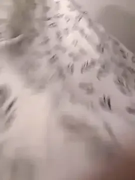 AdelineRousse – webcam model profile photo Image 16