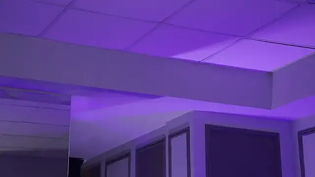 CourtneyCorsetX – webcam model profile photo Image 2