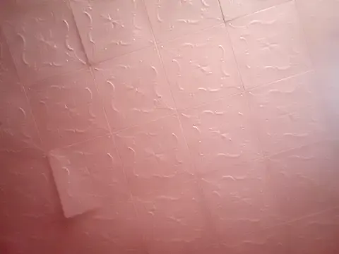 Eva-009 – webcam model profile photo Image 3