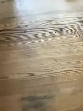 VioletEvanz – webcam model profile photo Image 8