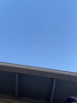 MeganStarzXXX – webcam model profile photo