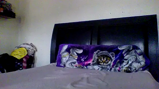 Kitty_Babe – webcam model profile photo Image 14