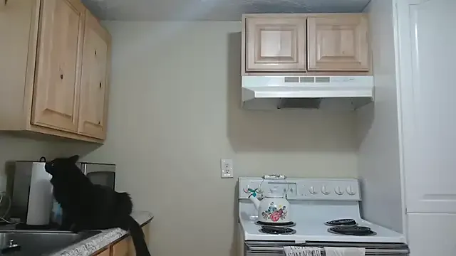 Alexiaa_roseexo – webcam model profile photo Image 3