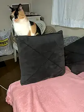 LoraaDoll – webcam model profile photo Image 2