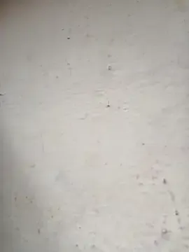 NinaParkerr – webcam model profile photo Image 2