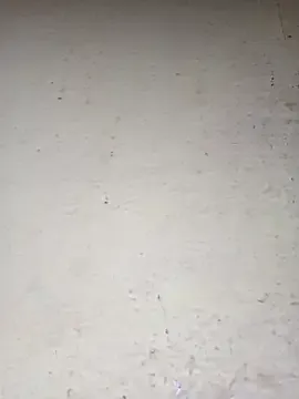 NinaParkerr – webcam model profile photo Image 4