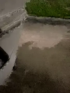 KingWizzle – webcam model profile photo Image 10