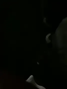 KingWizzle – webcam model profile photo Image 2