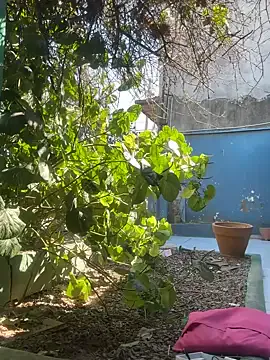 PrincessOPoison – webcam model profile photo Image 9