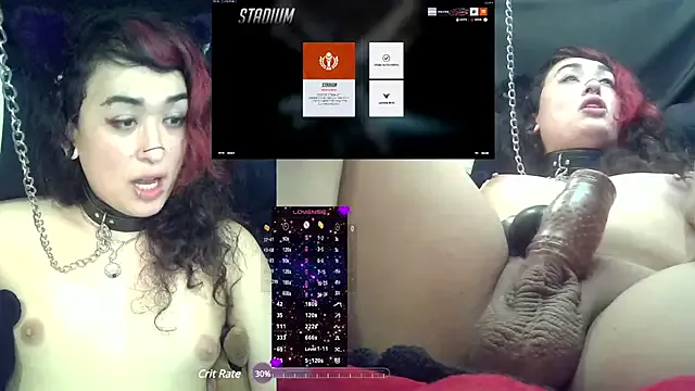 SashCarter – webcam model profile photo Image 10