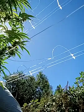 MorticaNight – webcam model profile photo Image 16