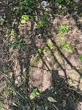 SophiaBenett – webcam model profile photo Image 4