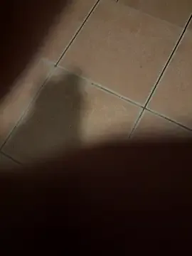 brendaliive – webcam model profile photo Image 3