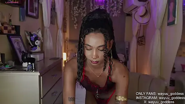 Roger_lams – webcam model profile photo Image 13