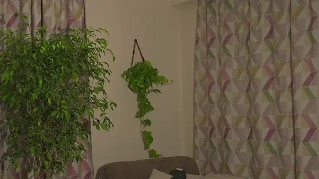 MelisaGill – webcam model profile photo Image 10