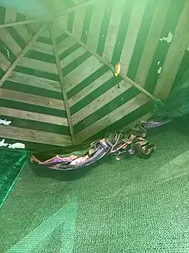 SamantaRouxdsr – webcam model profile photo Image 6