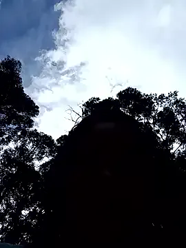 jhon_hot099 – webcam model profile photo Image 8